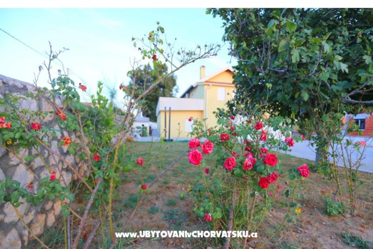 Apartment Novak Rudic – foto 2