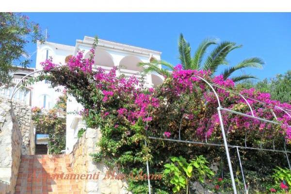 Apartment-hotel MacAdams – foto 3