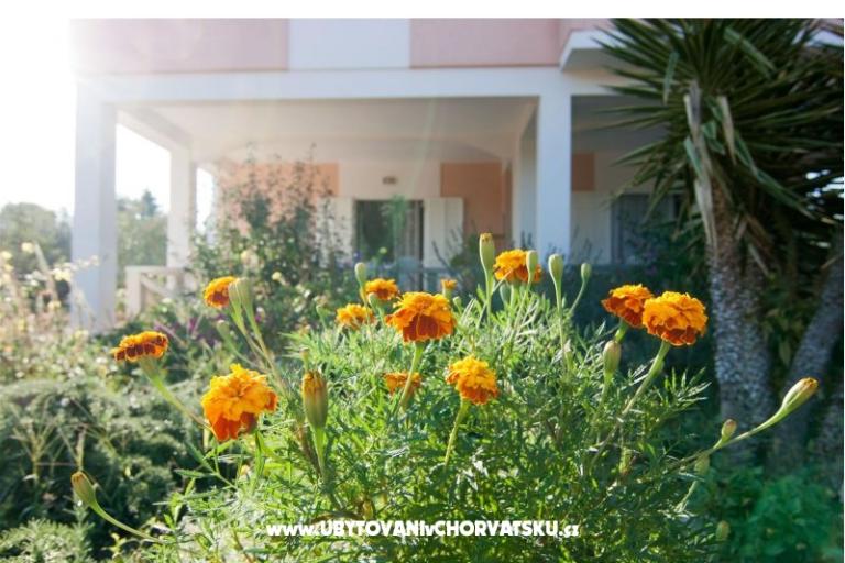 Appartements Danijela – foto 17