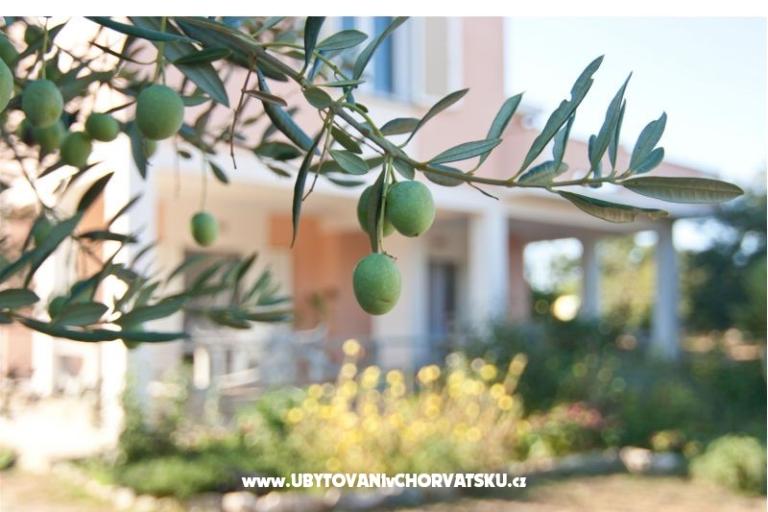 Appartements Danijela – foto 7