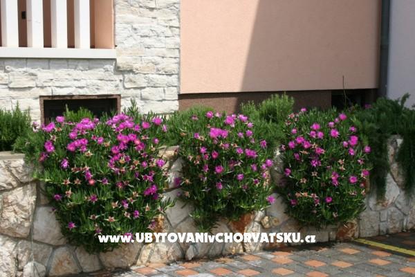Appartements Grga – foto 5
