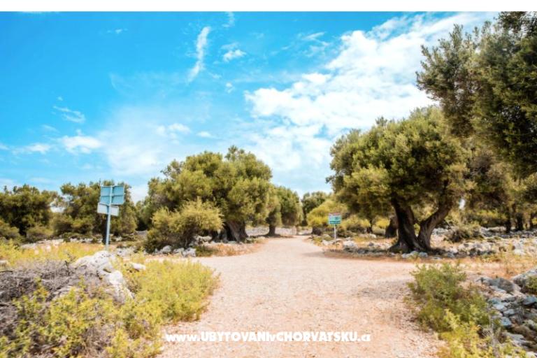 Appartements Šegota – foto 2