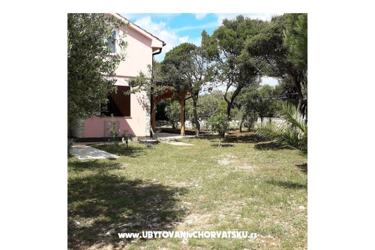 Bungalow Petrović – foto 12
