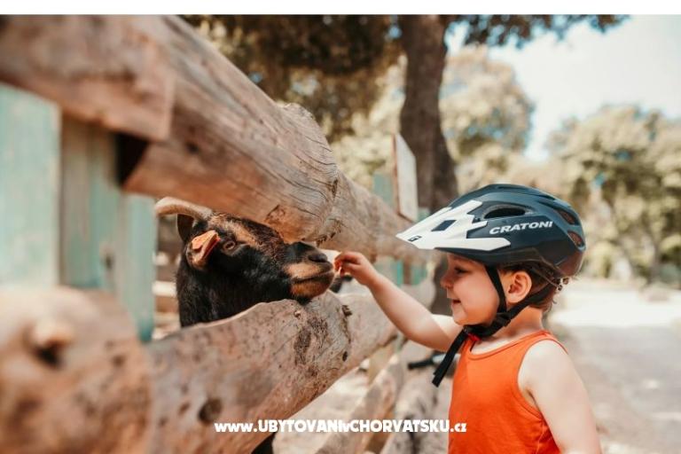 Mobile Home Luna - Camp Straško – foto 10
