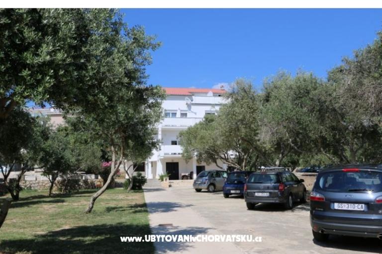 Appartements Milka Novalja – foto 13