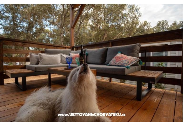 Haus Sookie – foto 3
