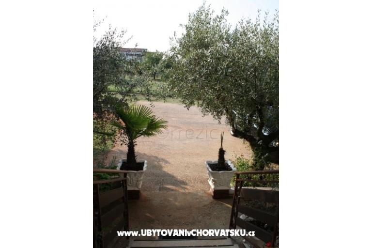 Apartment Adriana Stancijeta – foto 11