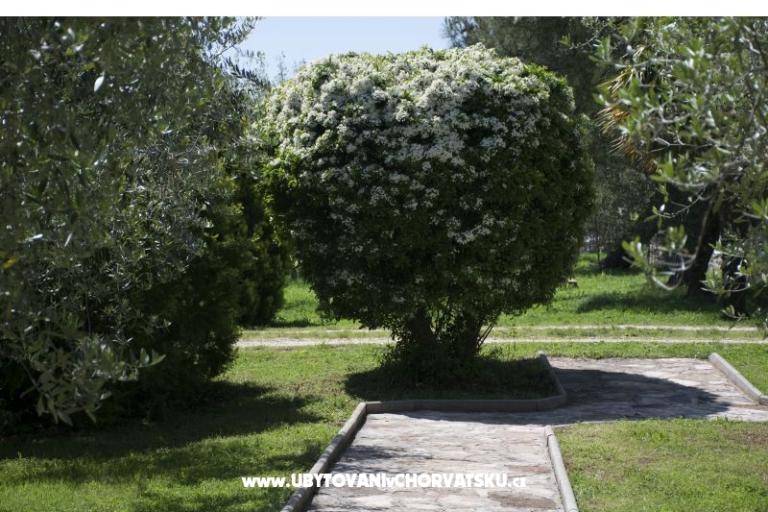 Sanja Ferienwohnungen Novigrad – foto 3