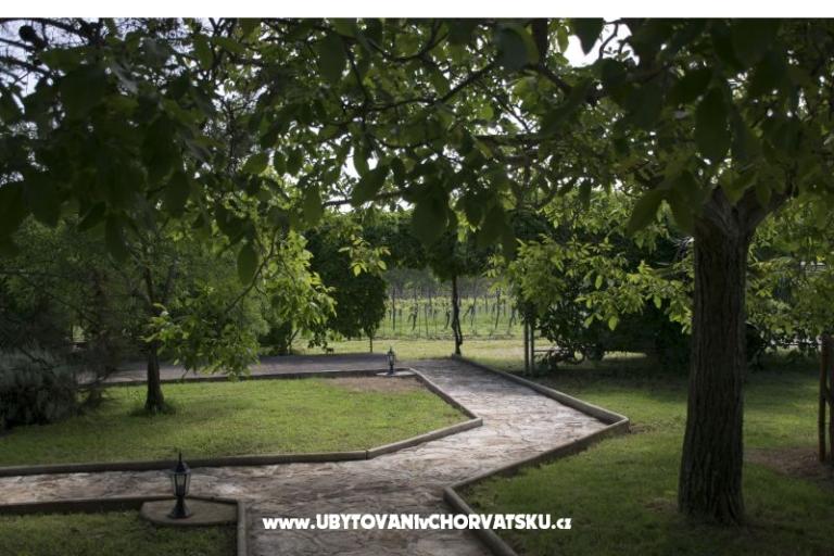 Sanja Ferienwohnungen Novigrad – foto 7