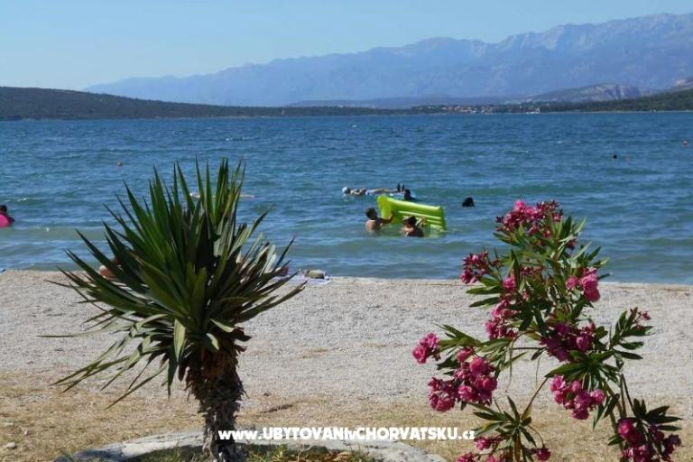 Apartment Dedi – foto 9