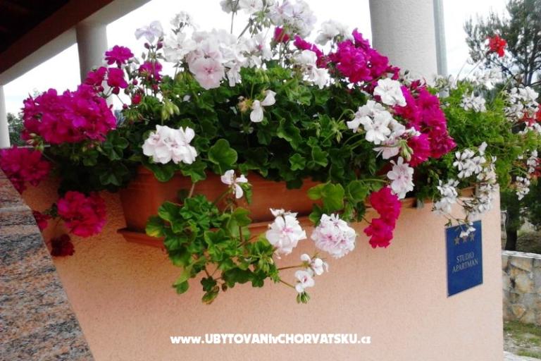 Appartement Jasna – foto 14