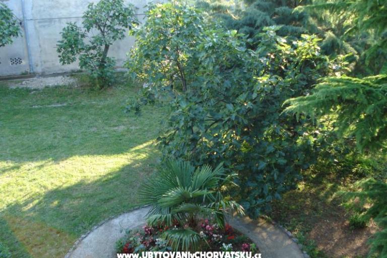 Ferienhaus  Nada – foto 7