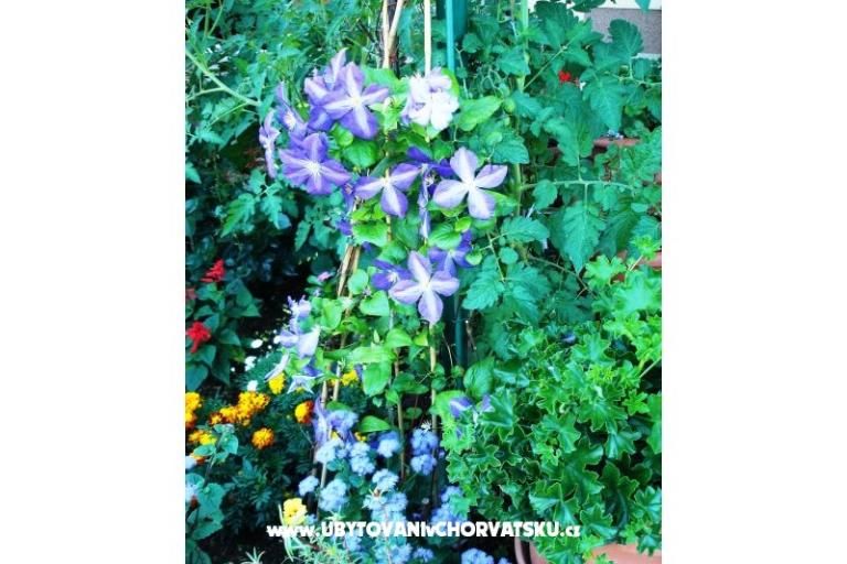 Ferienwohnungen*Tikvesa* Novi Vinodolski – foto 9