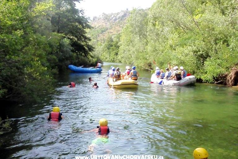 Ferienwohnungen 1234 – foto 16