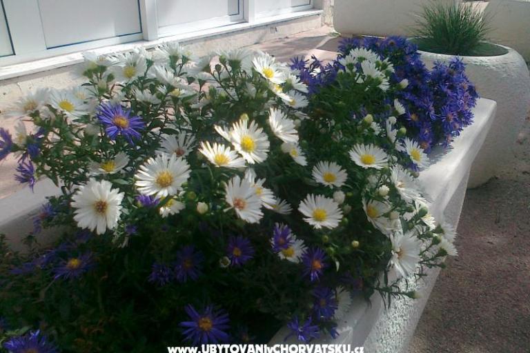 Apartment ANKA S. – foto 8