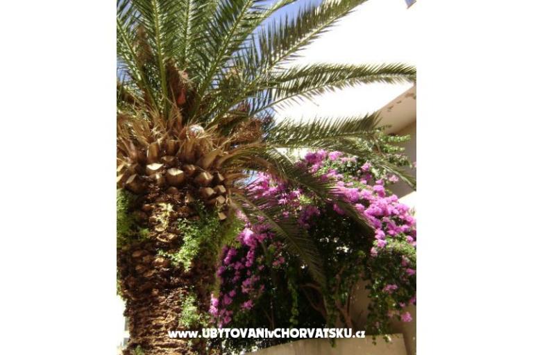 Apartment Mia – foto 11