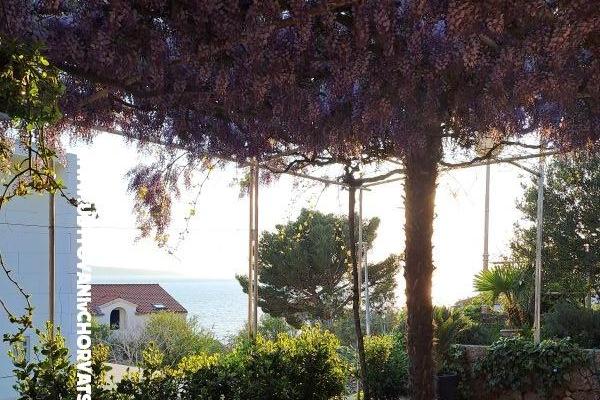 Appartements AGAVA – foto 27