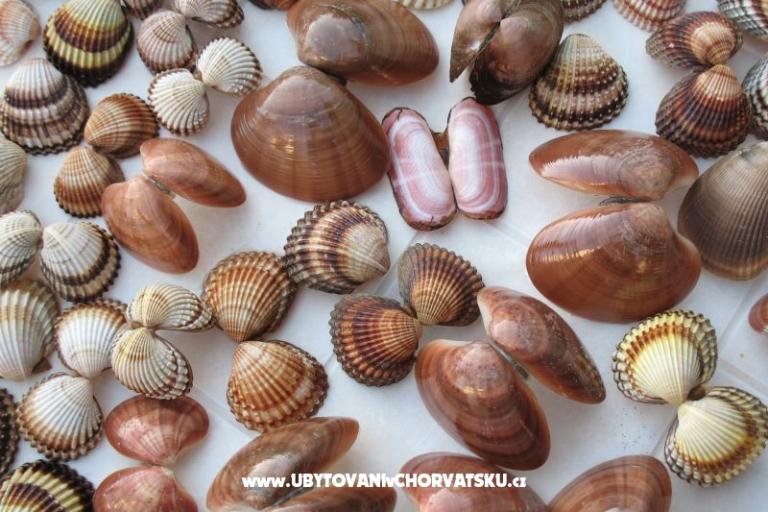 Ferienwohnungen Kaktus – foto 11
