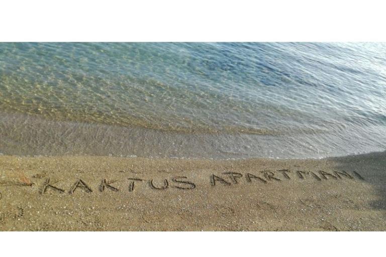 Ferienwohnungen Kaktus – foto 8