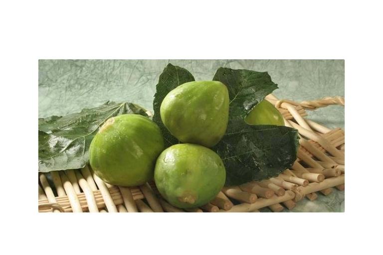 Appartements Linda – foto 12