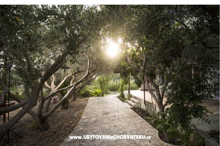 Appartement Toni – foto 3