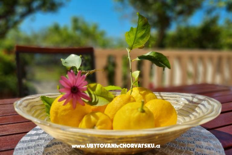 Ferienwohnungen Diridonda – foto 46