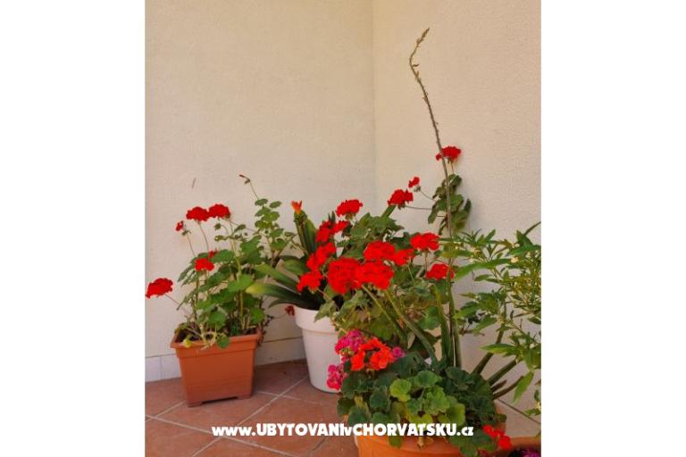 Ferienwohnungen Diridonda – foto 48