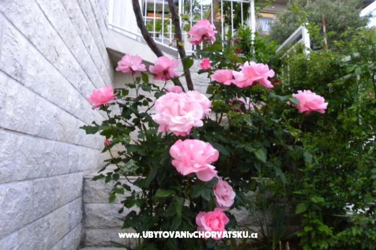 Boženka Haus – foto 6