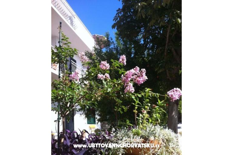 Haus Kuzmanić – foto 6