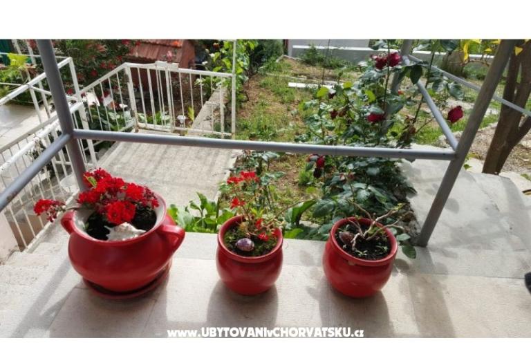 Apartment Mačak – foto 15