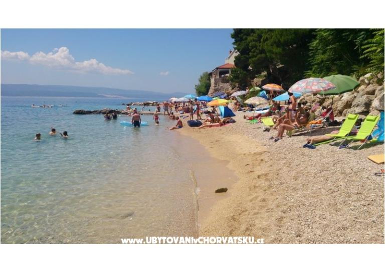 Najka – foto 6