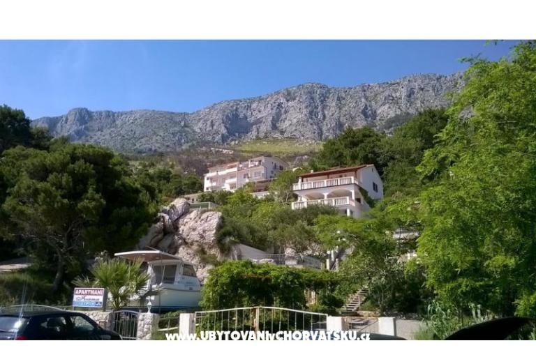 Studio Nina – foto 8