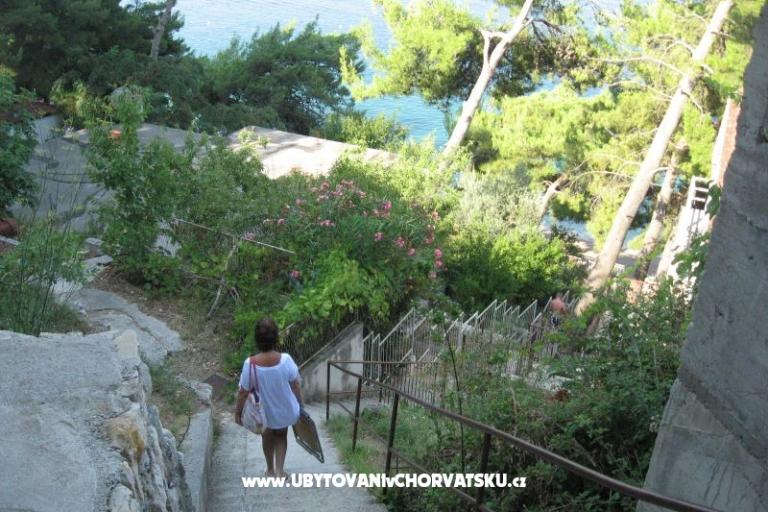 Vila Miko  – foto 11