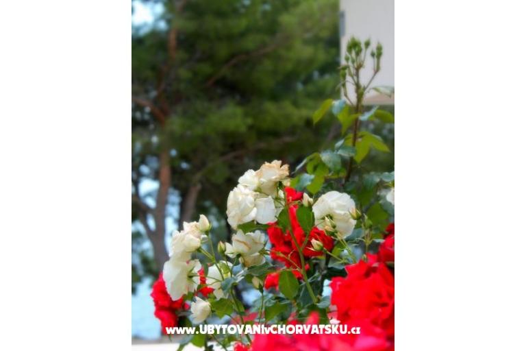 Villa Golubinka – foto 5