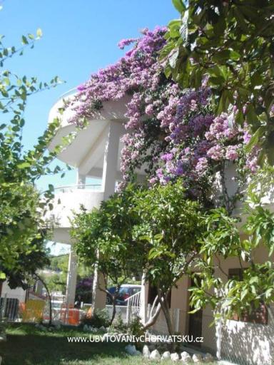 Villa Marko – foto 2