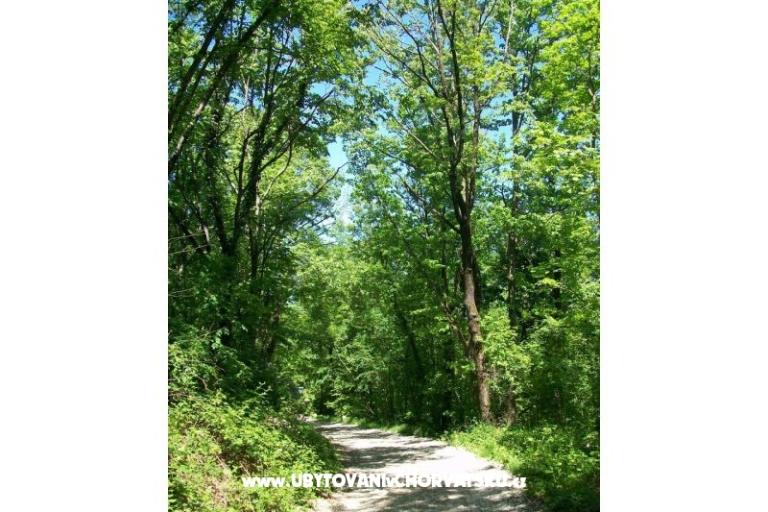 Apartment Filipović Kastav – foto 17