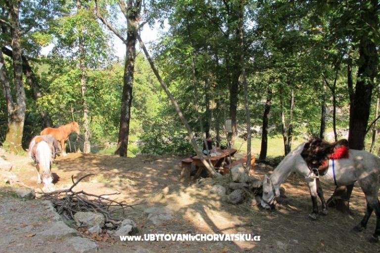 Apartment Filipović Kastav – foto 18