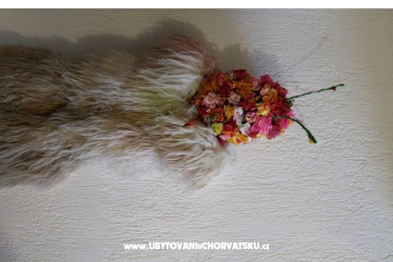 Apartment Kruna Rukavac – foto 15