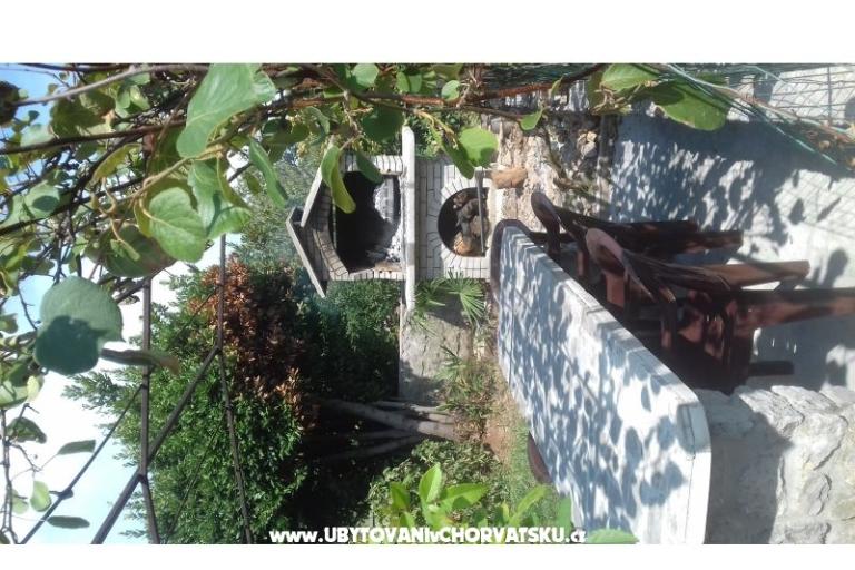 Apartment Kruna Rukavac – foto 8