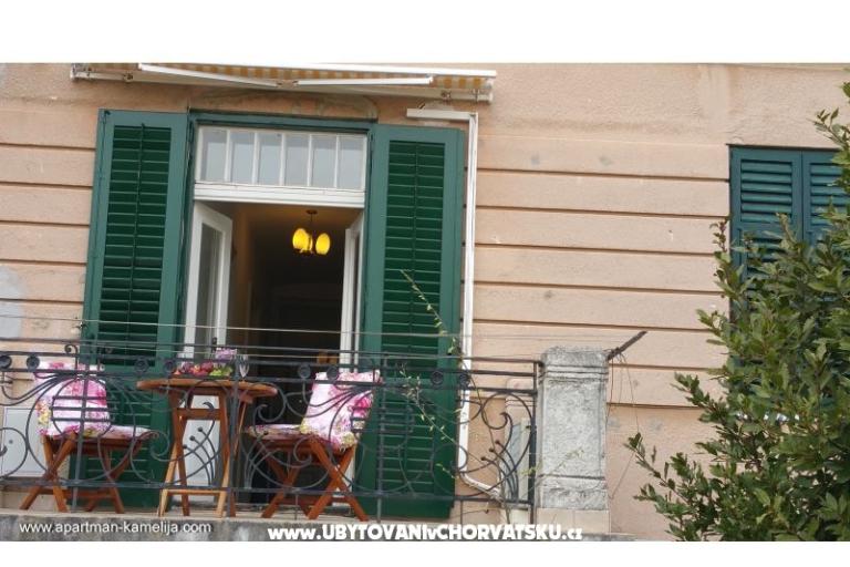 Appartement Kamelija – foto 14