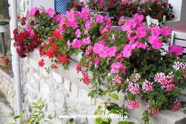 Ferienwohnungen Kestenovi dvori – foto 15