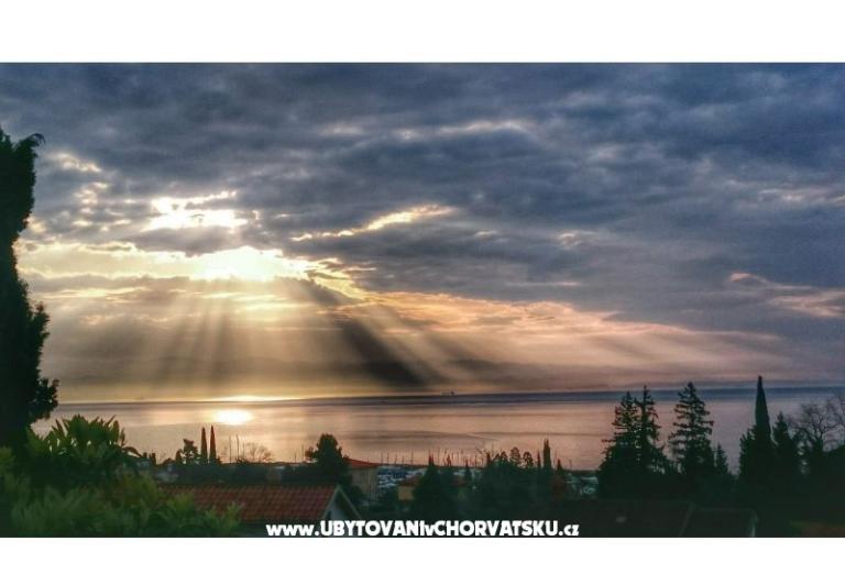 Garden of Pleasure – foto 13