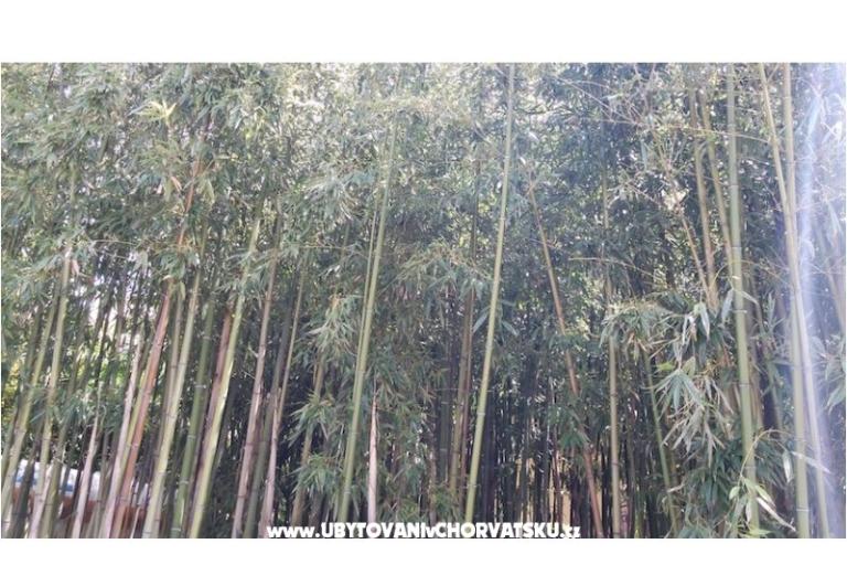 Ferienwohnungen &amp; rooms  Raspor – foto 11