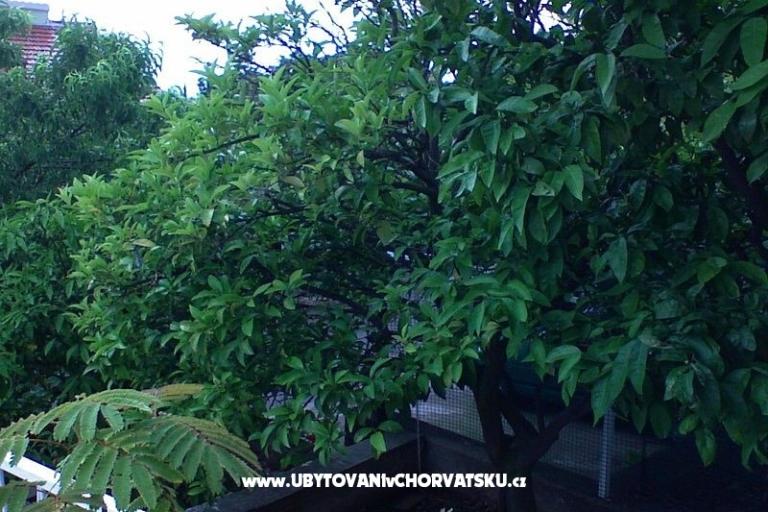 Appartements Zorka – foto 13