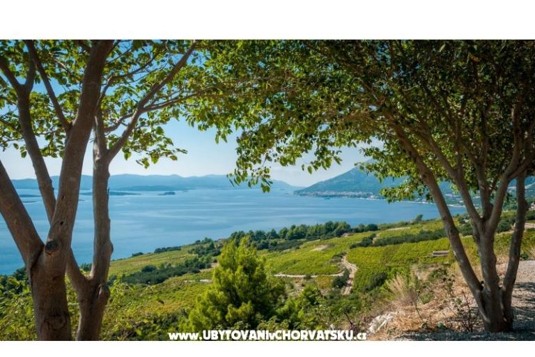 Ferienwohnungen Sveti Anton Orebic – foto 10