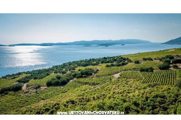 Ferienwohnungen Sveti Anton Orebic – foto 12