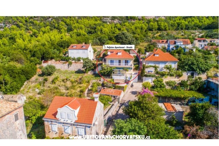 Pelješac Appartements -Orsula  – foto 4