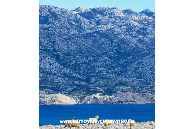 Appartements Lili – foto 45