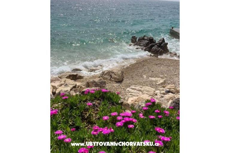 Appartements Marijana Mandre – foto 17