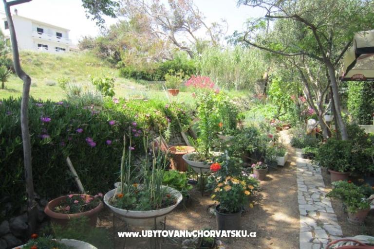 Appartements Mediteran Pag – foto 10